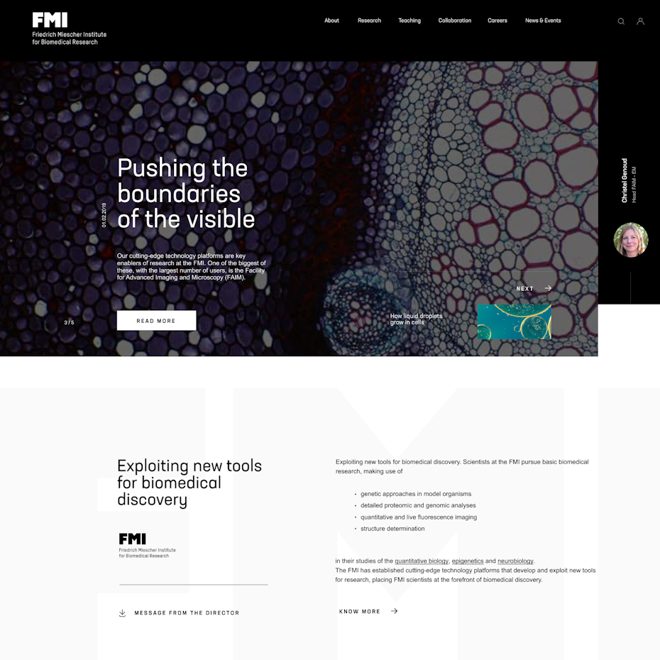 Web design for a biomedical research institute