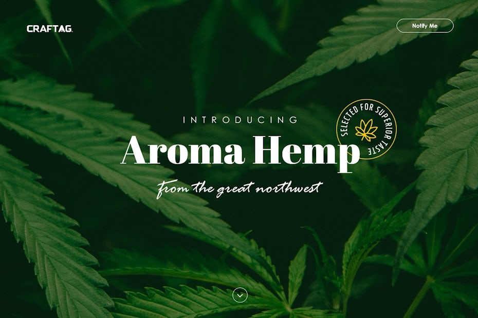 Example of 2020 web design trend of minimalist navigation