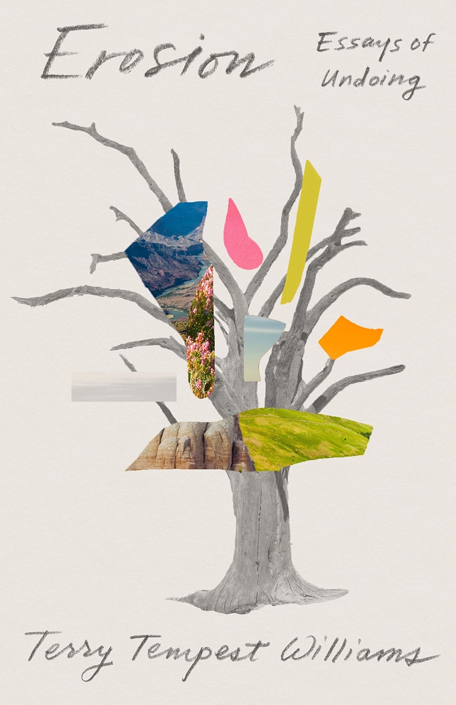 book cover trends 2020 example with handwritten pencil type and tree collage