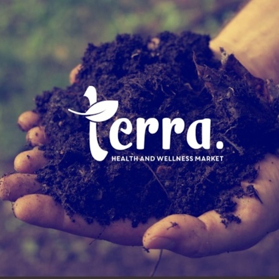 Logo, font, color palette and packaging choices for Terra