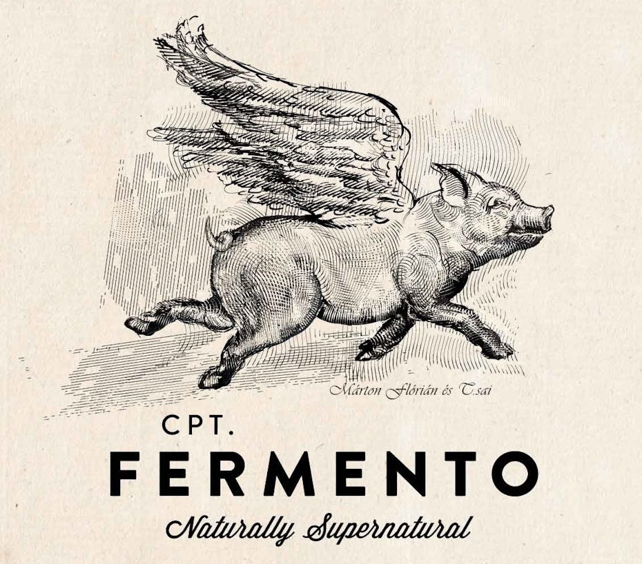 pig with wings vintage illustration representing unique brand experience