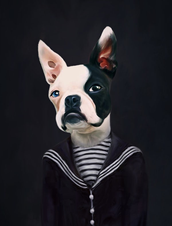 satu pelkonen dog portrait