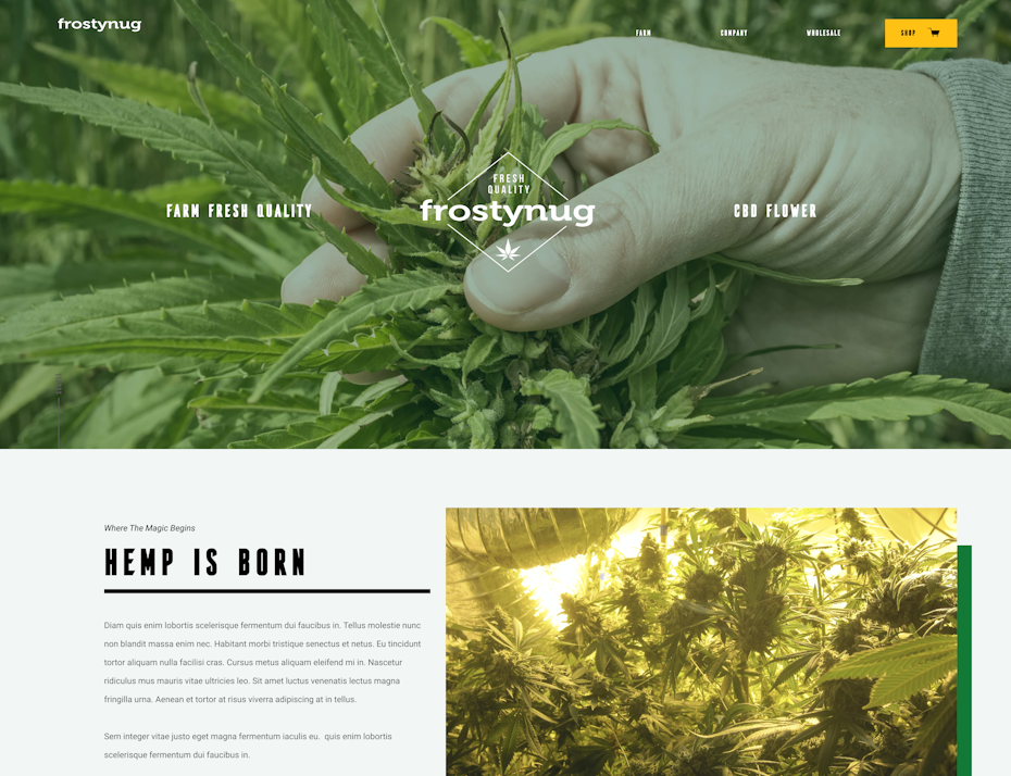 CBD web design