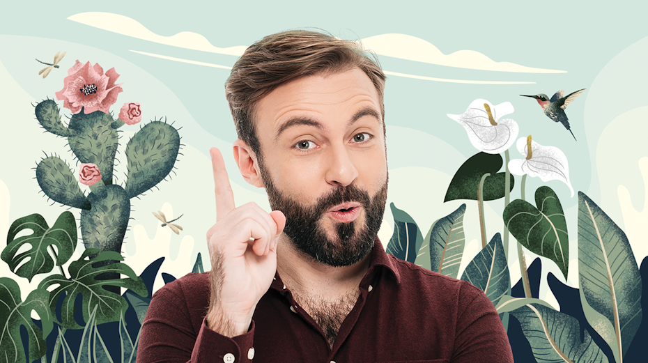 20 Free Zoom Background Images To Beautify Your Virtual Space 99designs