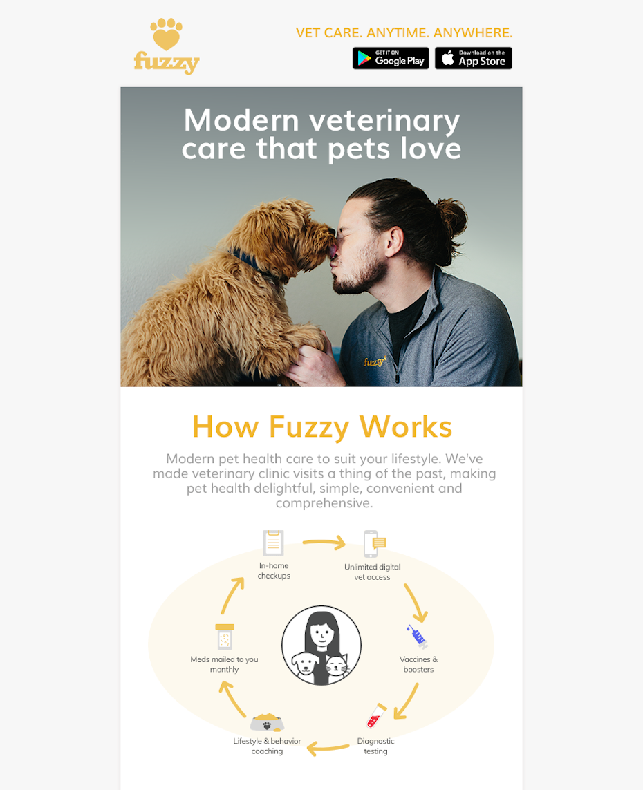 email design for pet care company