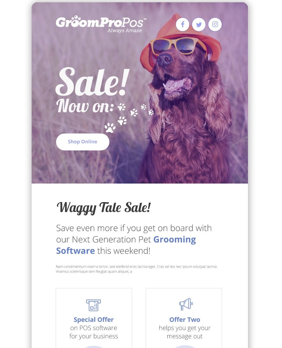 email design for pet grooming business