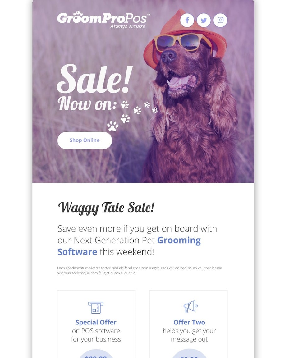 email design for pet business