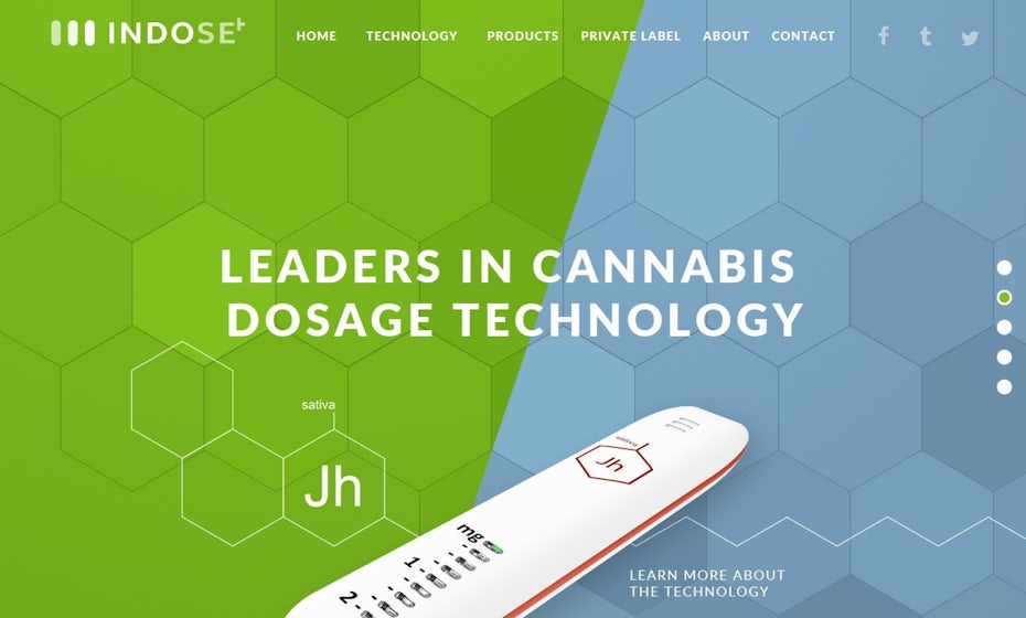 INDOSE website