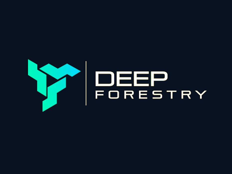 bad logo design of Deep Forestry