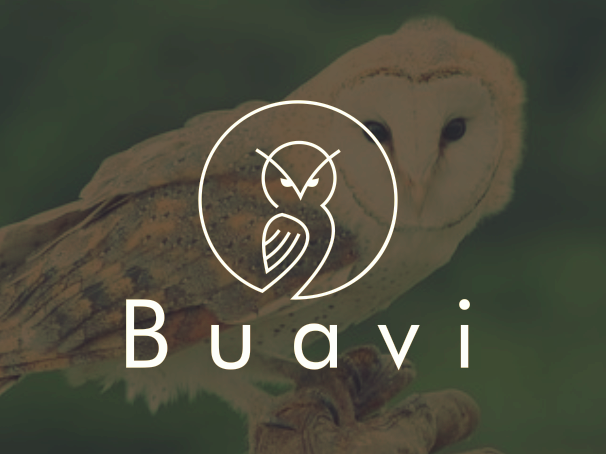bad logo design of Buavi