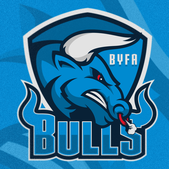 sports logo for Cobra Youth Basketball Club