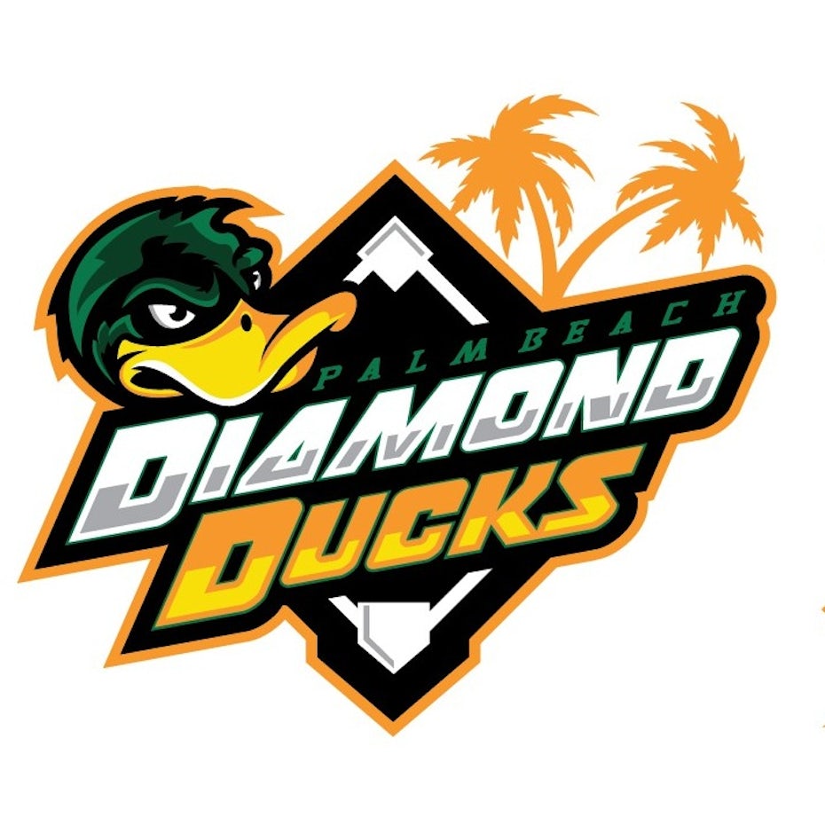 sports logo for Diamond Ducks