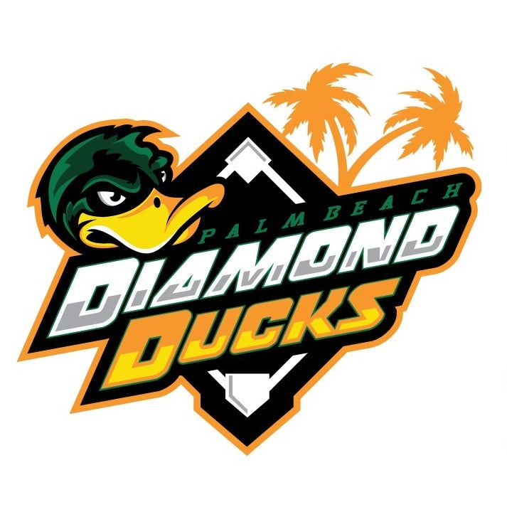 sports logo for Diamond Ducks