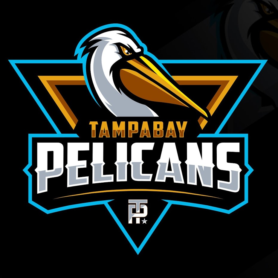 sports logo for Tampa Bay Pelicans
