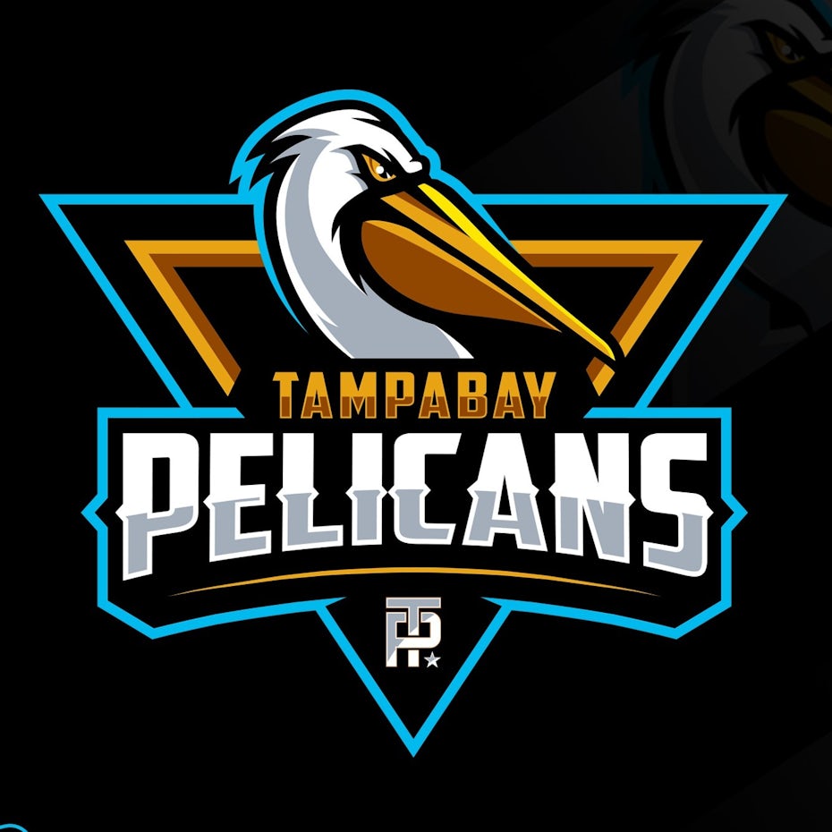 sports logo for Tampa Bay Pelicans