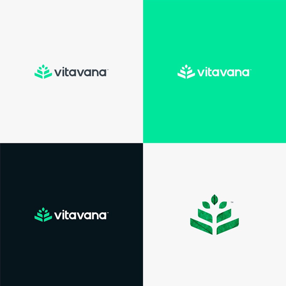green logo design for vitavana