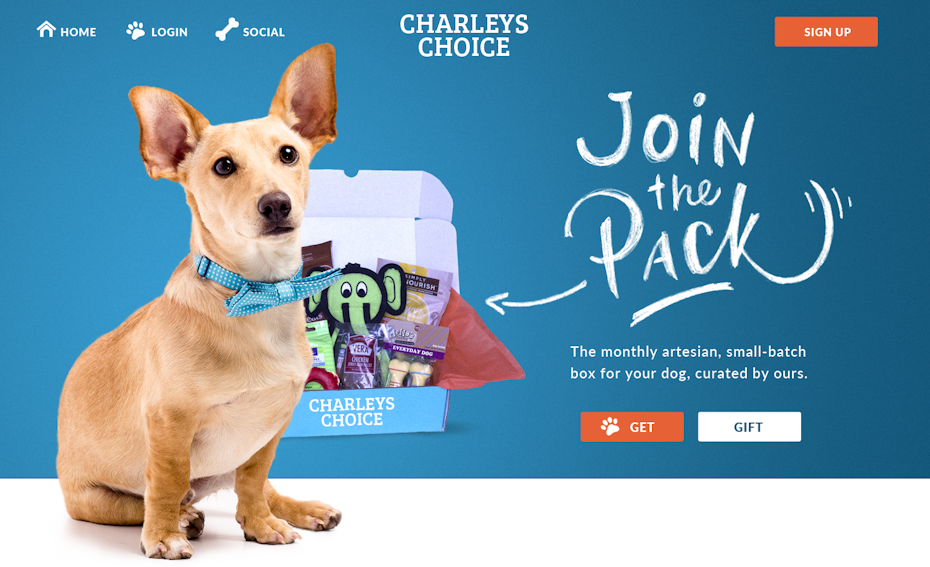 Design de site web bleu et orange pour un site de boîtes pour chiens