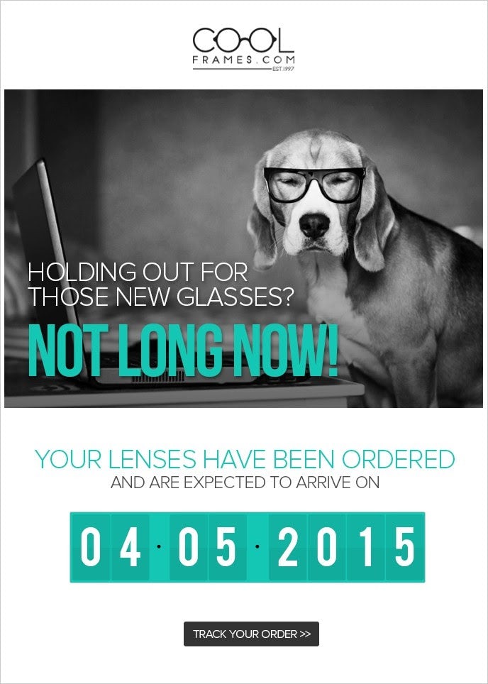 Marketing email design for optician