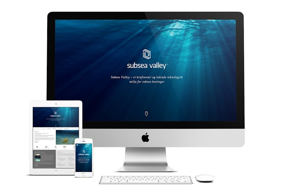 Simple website for Subsea Valley