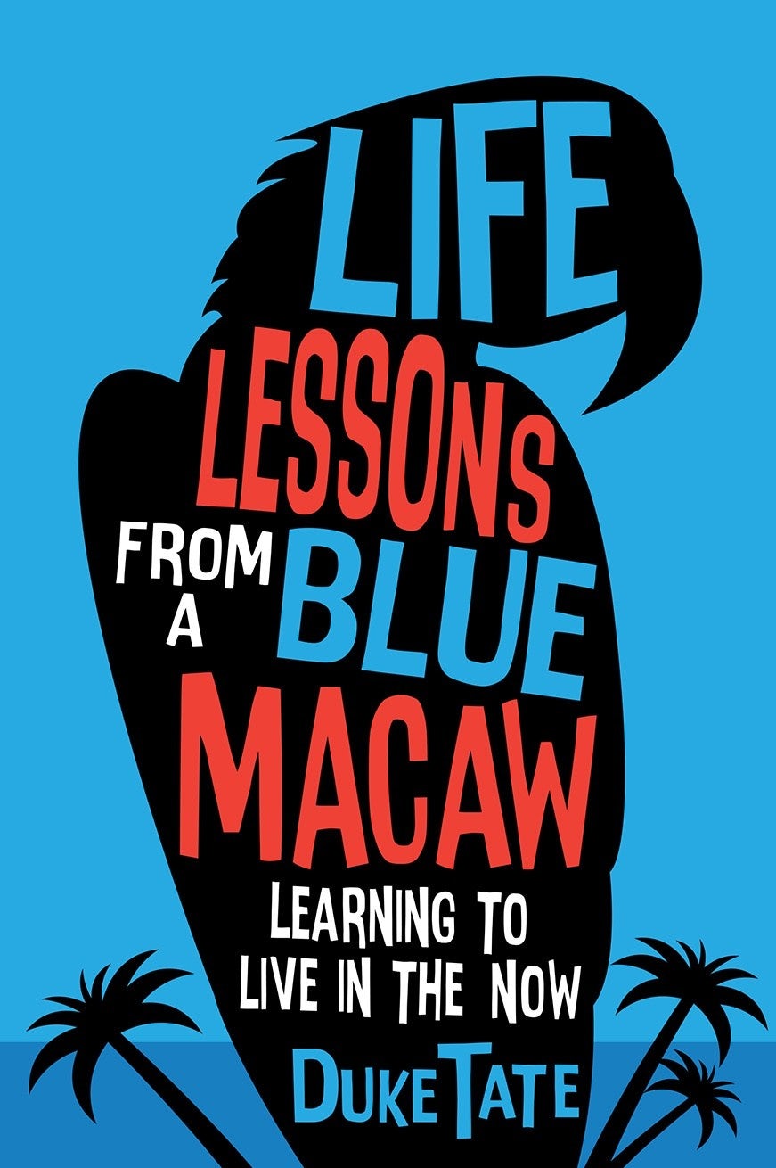 Blue and red hand-lettered book cover with uneven typography