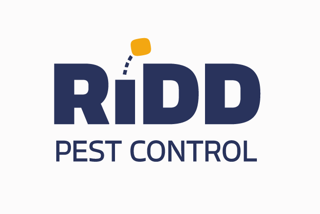 Bounce motion logo design for pest control