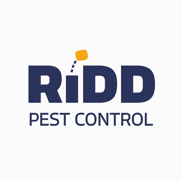 Bounce motion logo design for pest control