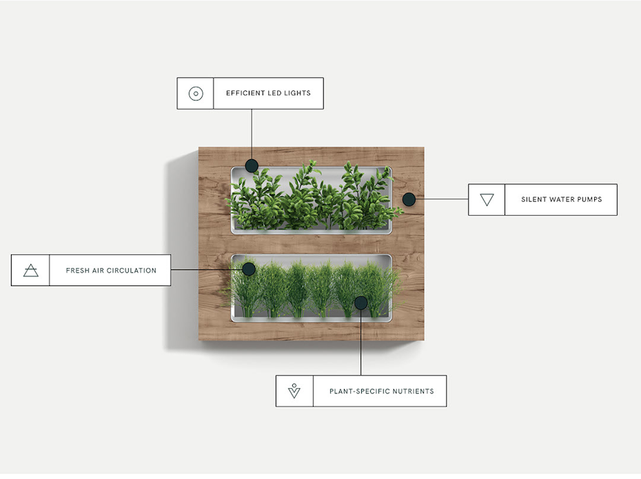 Web page design for modern herb planters