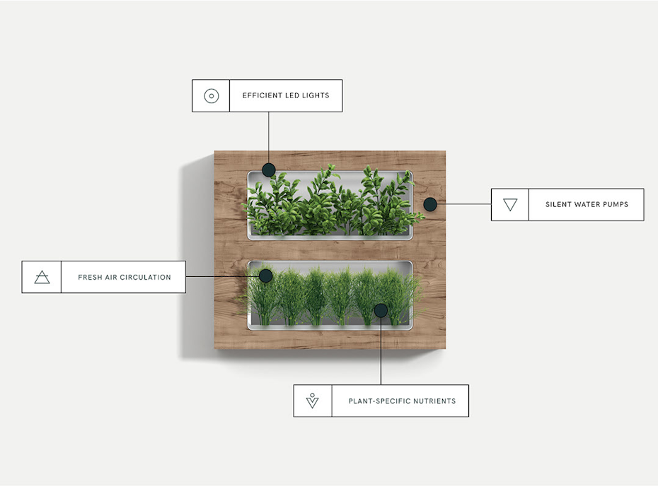 Web page design for modern herb planters