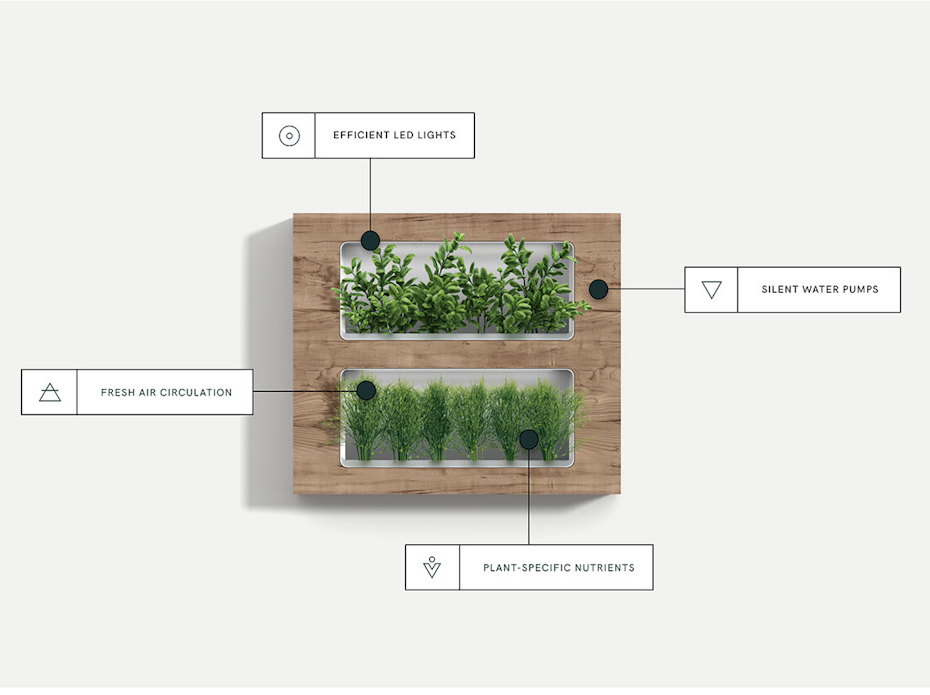 Web page design for modern herb planters