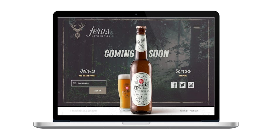复古灵感的啤酒品牌网页设计