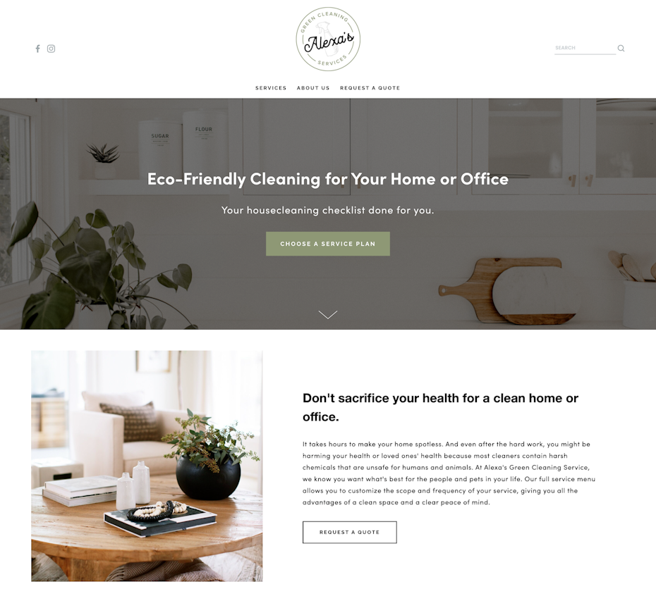 Natural Cleaning Company, Alexa's Green Cleaning