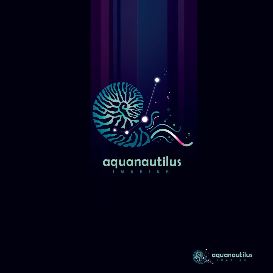 Logo design showing a nautilus illustration merged with a constellation