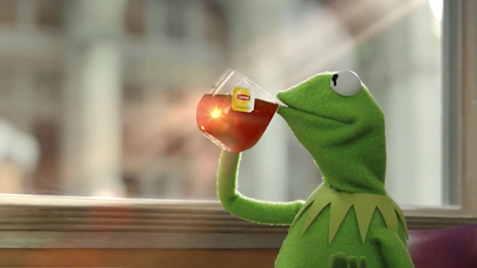 Kermit meme für lipton