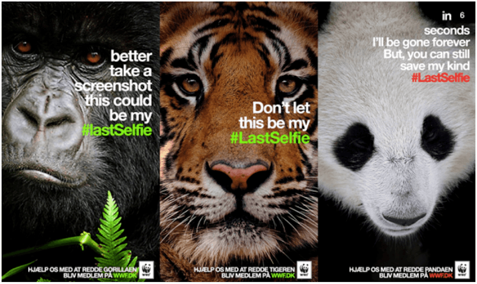 WWF campaign featuring a gorilla, a tiger and a panda
