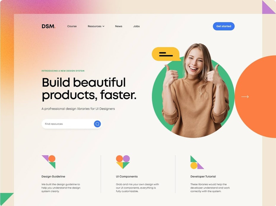 DSM Web Header