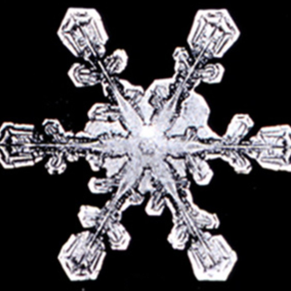 Black and white image of a snowflake