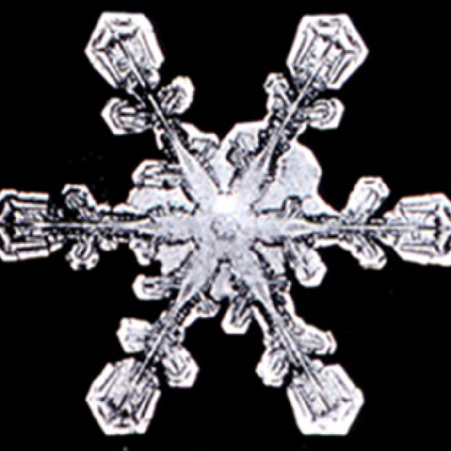 Black and white image of a snowflake
