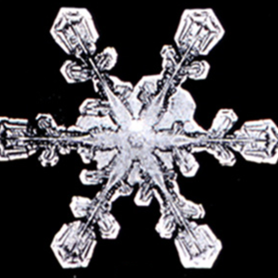 Black and white image of a snowflake