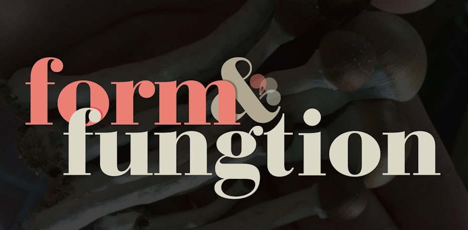 Design de logo typographique minimaliste dans des tons de rose et de gris pour une marque de champignons