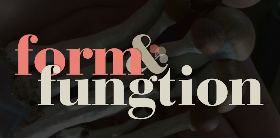 Minimalist geometric logo and wordmark logo in pink and pale tan and hands holding long-stemmed mushrooms
