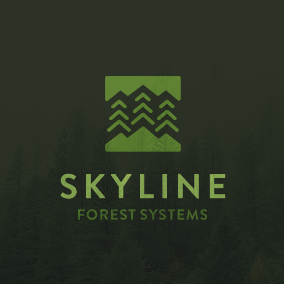 Green nature logo design for forest brand