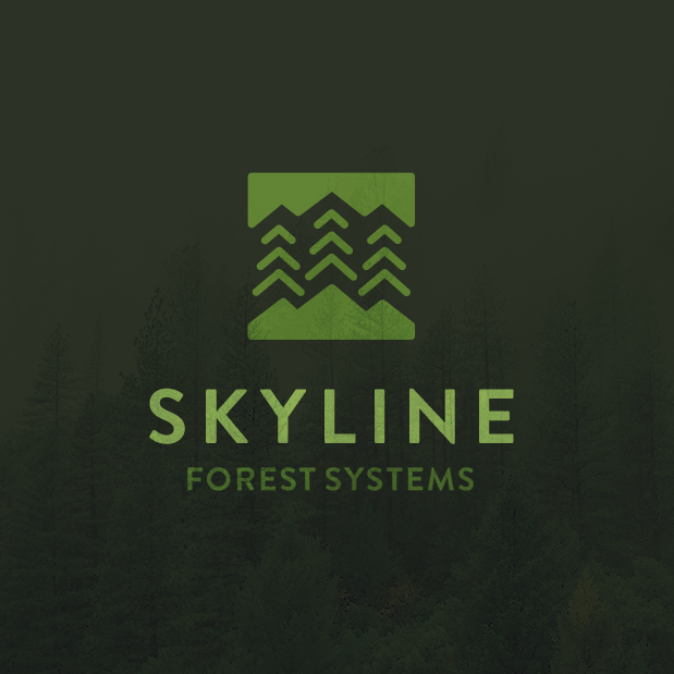 Green nature logo design for forest brand