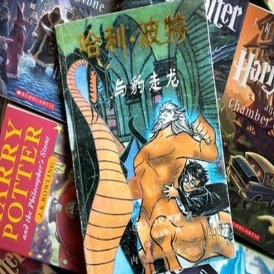 image of unauthorized Harry Potter book, “Harry Potter and the Leopard Walk Up to Dragon