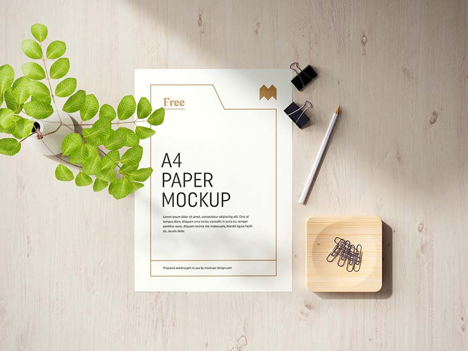 sheet of paper with gold layout, flat next to a plant and binder clips