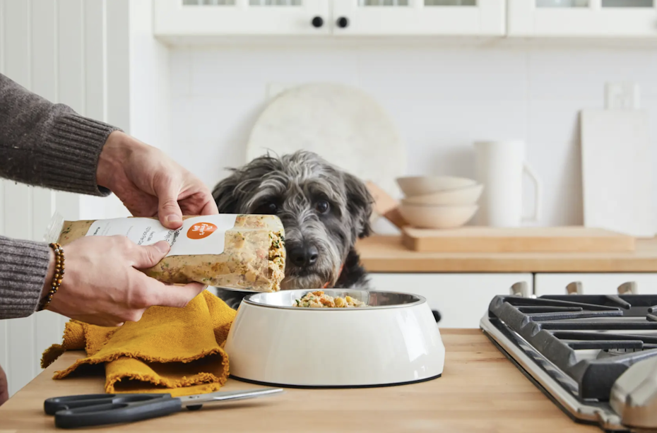 The Farmer’s Dog packaging
