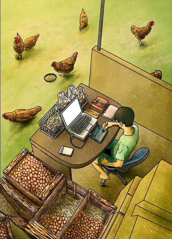 illustration of a designer working at a laptop, surrounded by chickens and egg crates