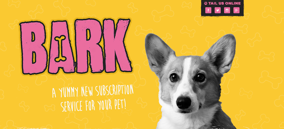 diseño web comida para perros