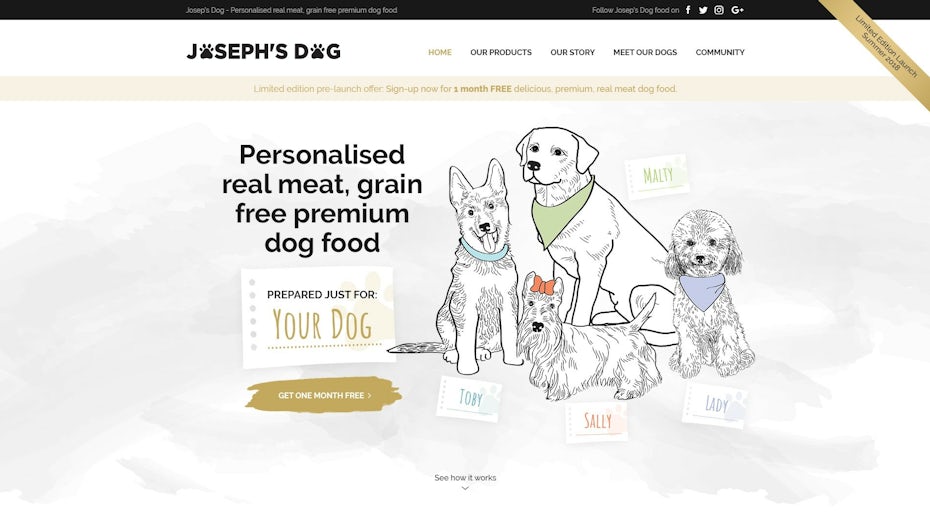 illustration style website design with dogs and dog food