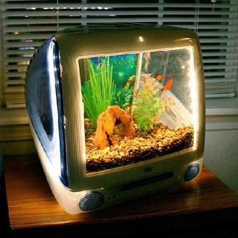 iMac aquarium