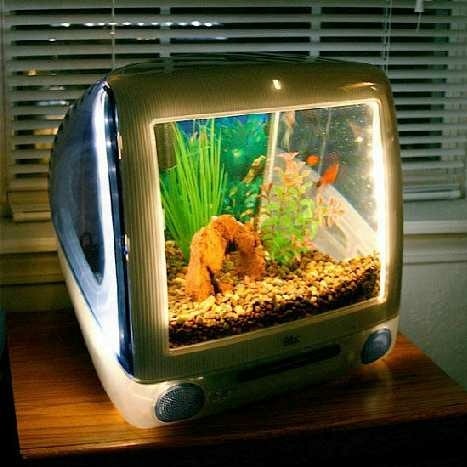 iMac aquarium